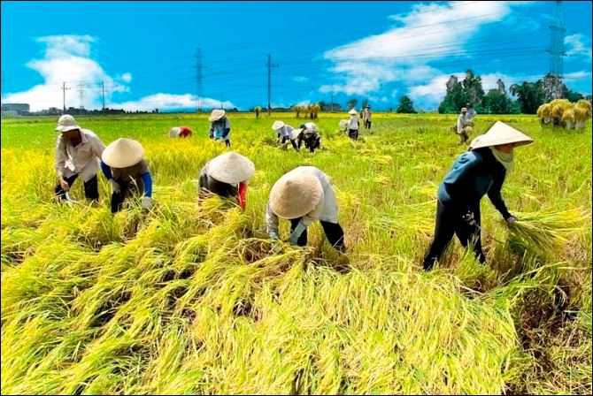 Bộ Chính trị ban hành Nghị quyết về đổi mới, nâng cao chất lượng hoạt động của Hội Nông dân Việt Nam